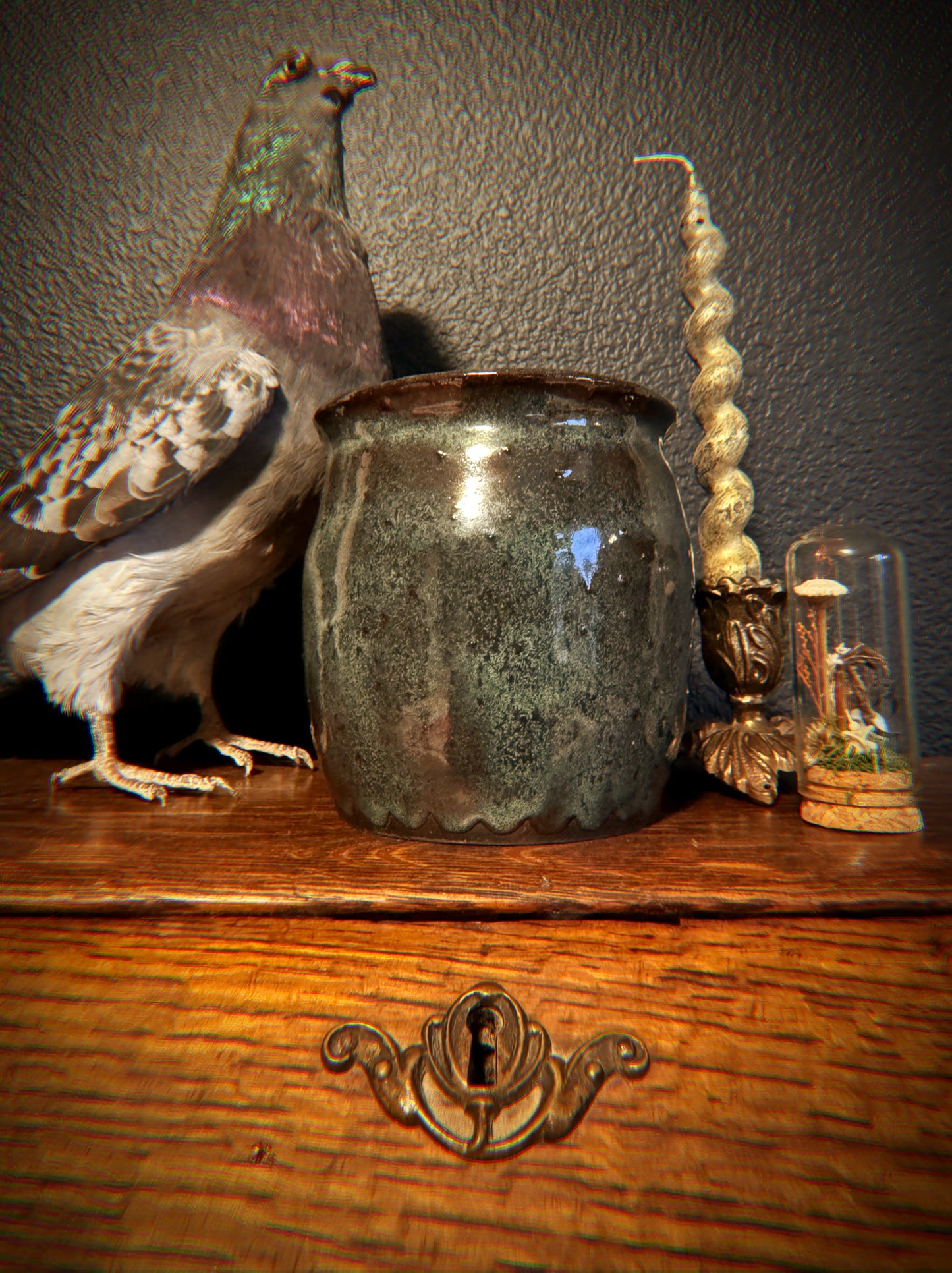 Ceramic Moth Plant Pot