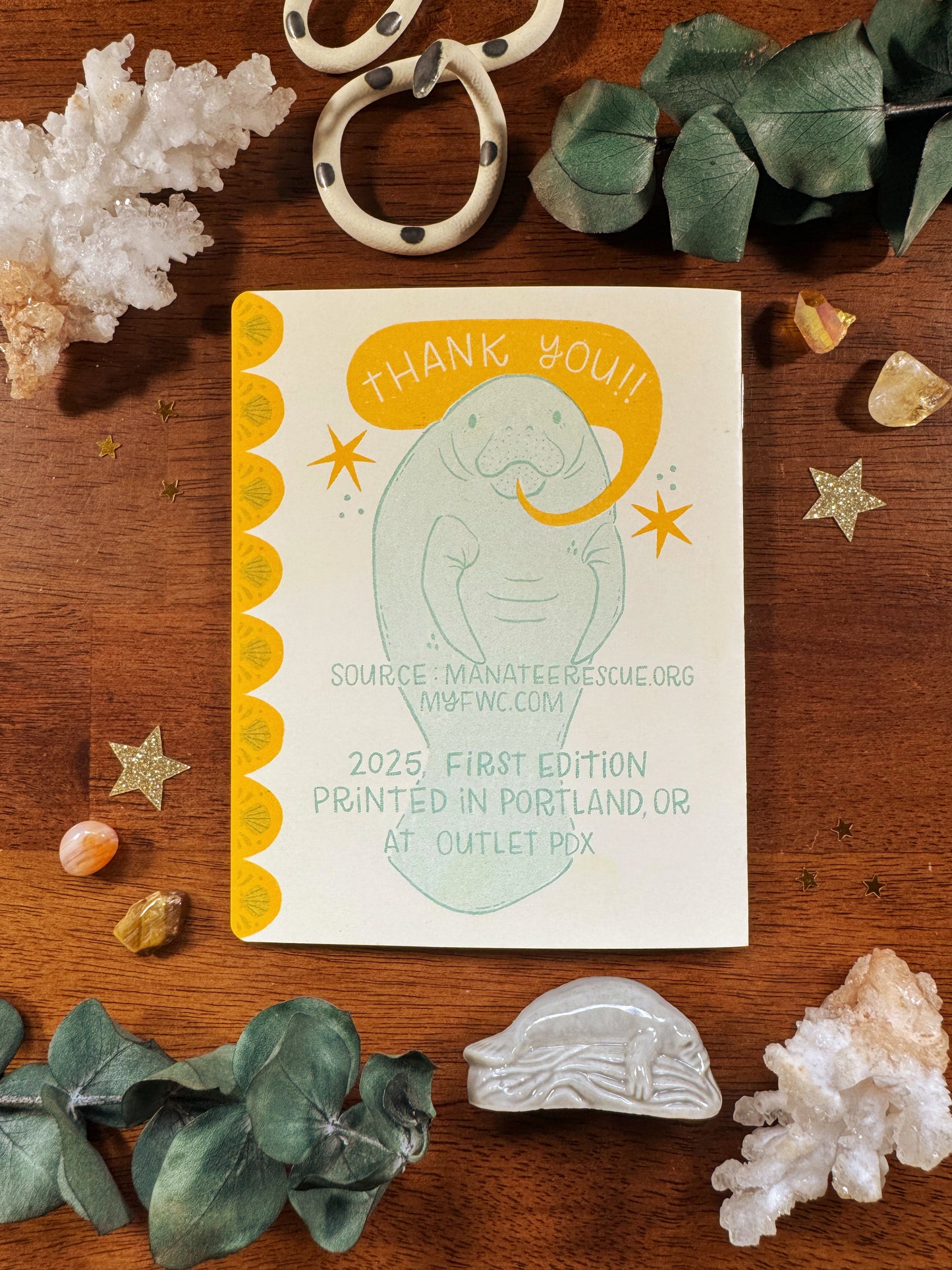 Manatee Conservation Zine