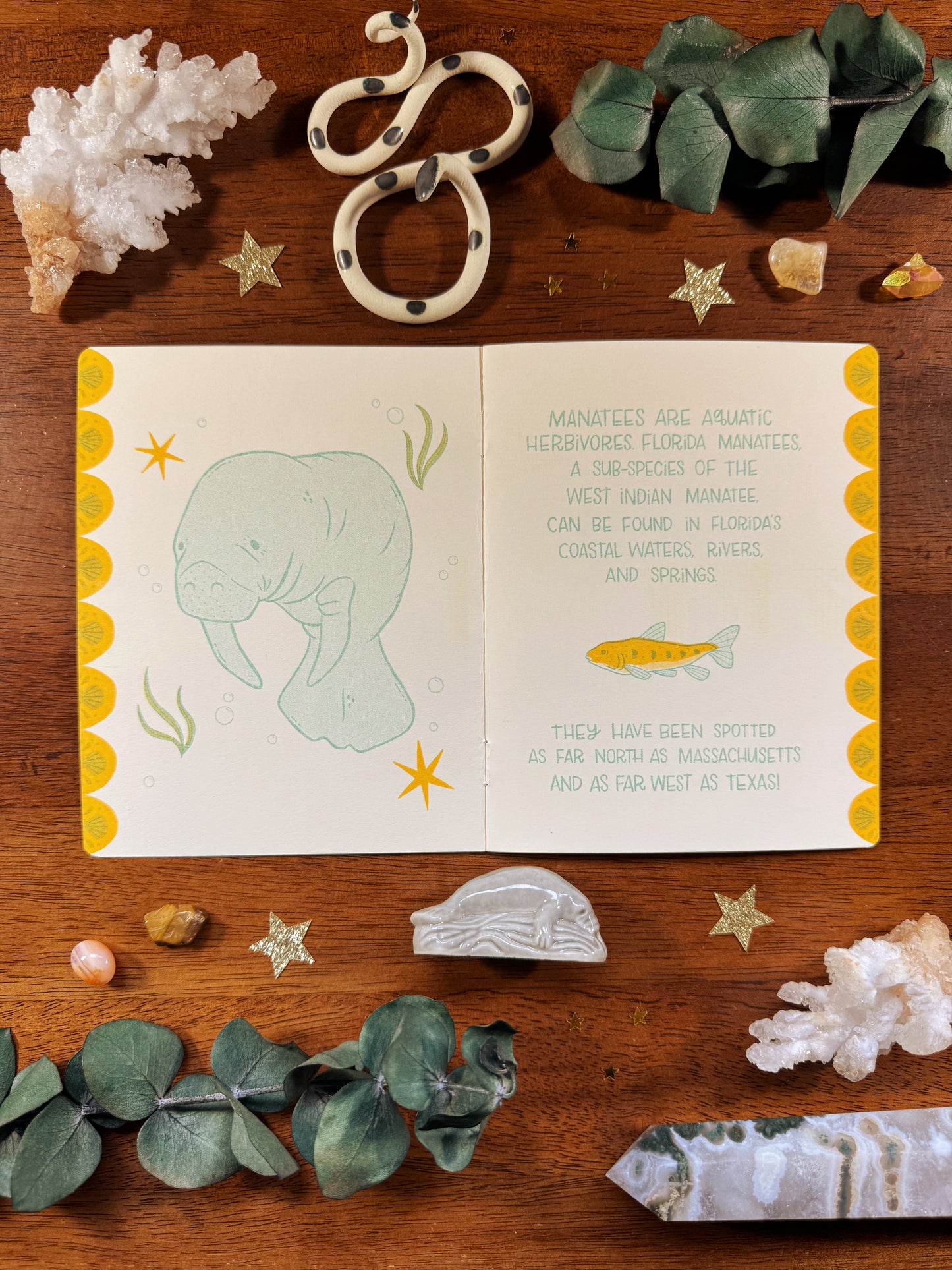 Manatee Conservation Zine