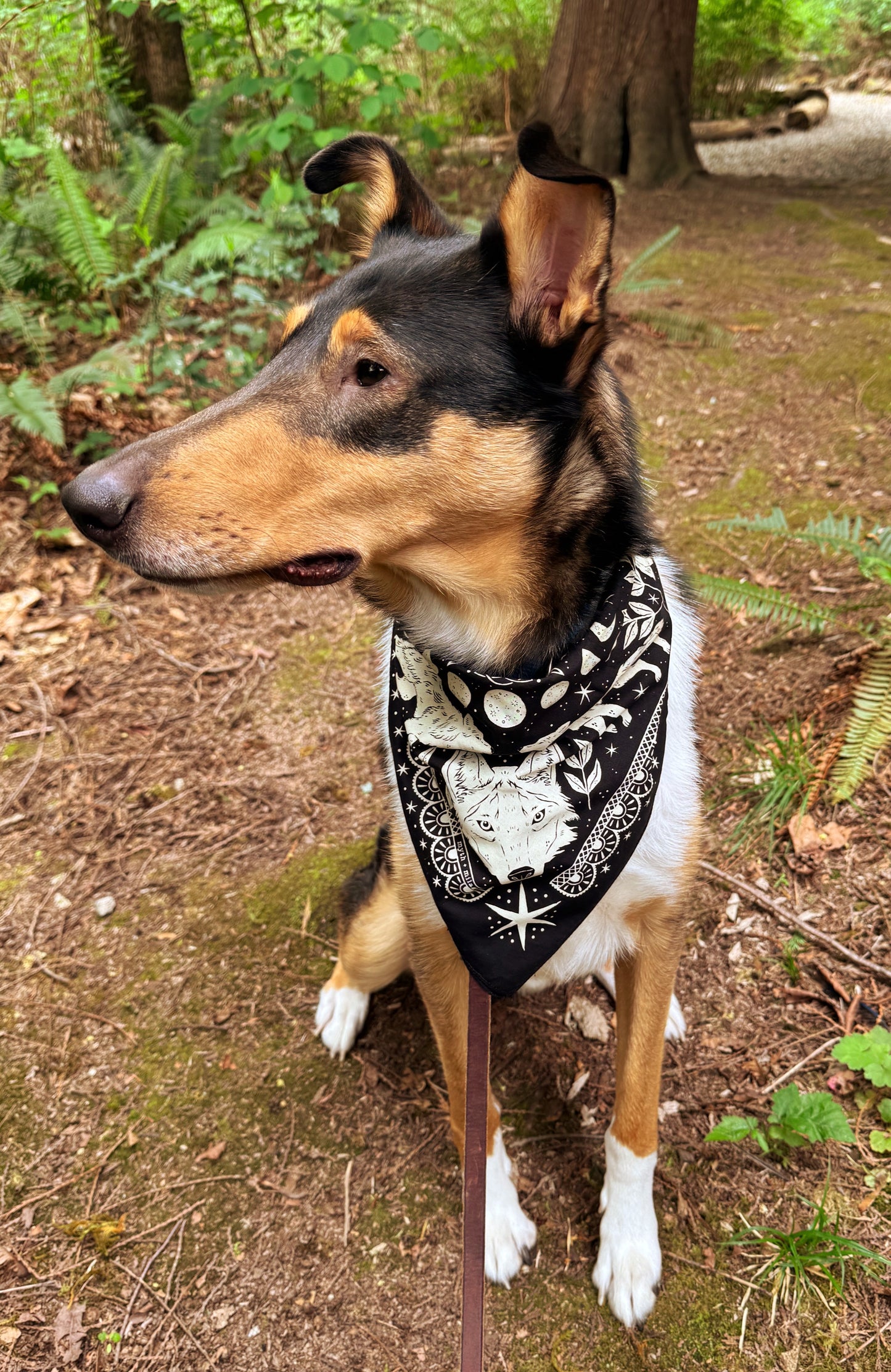 Wolf Cotton Bandana