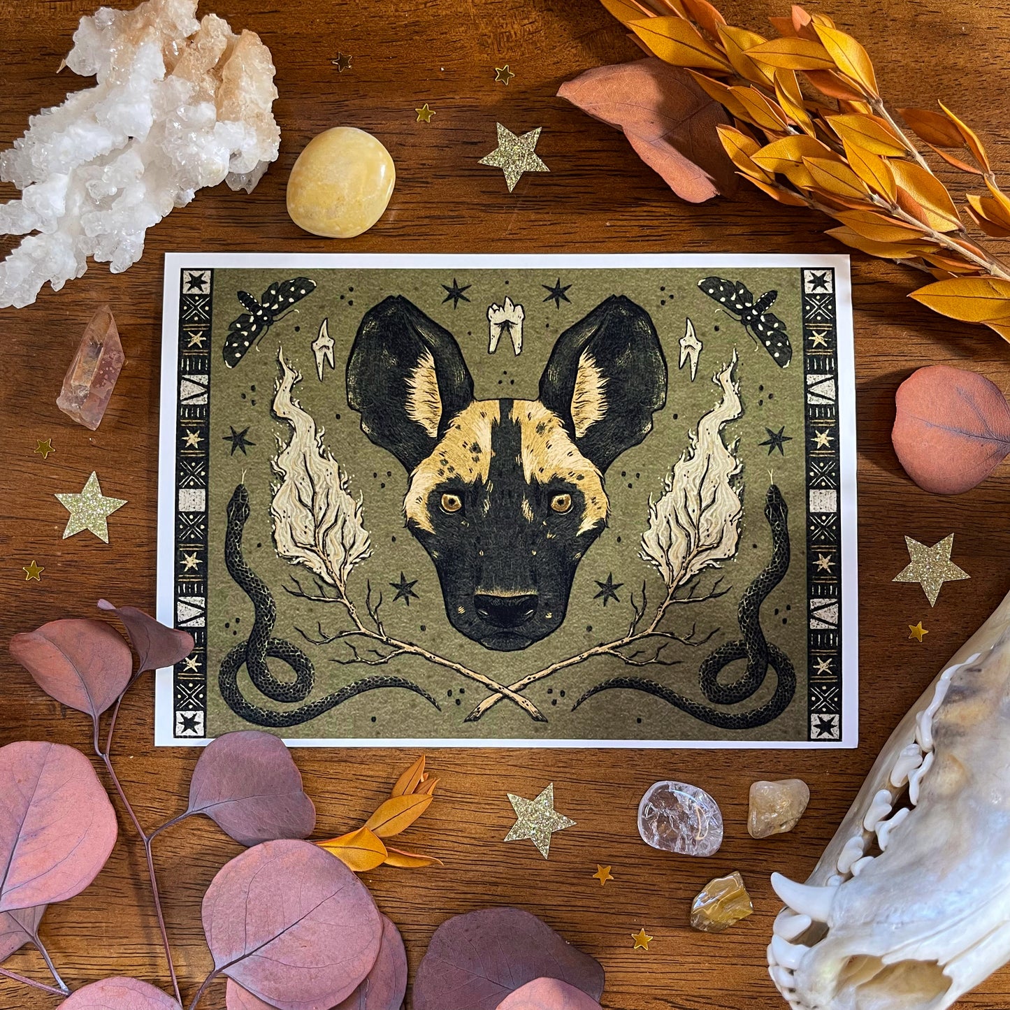African Wild Dog Art Print