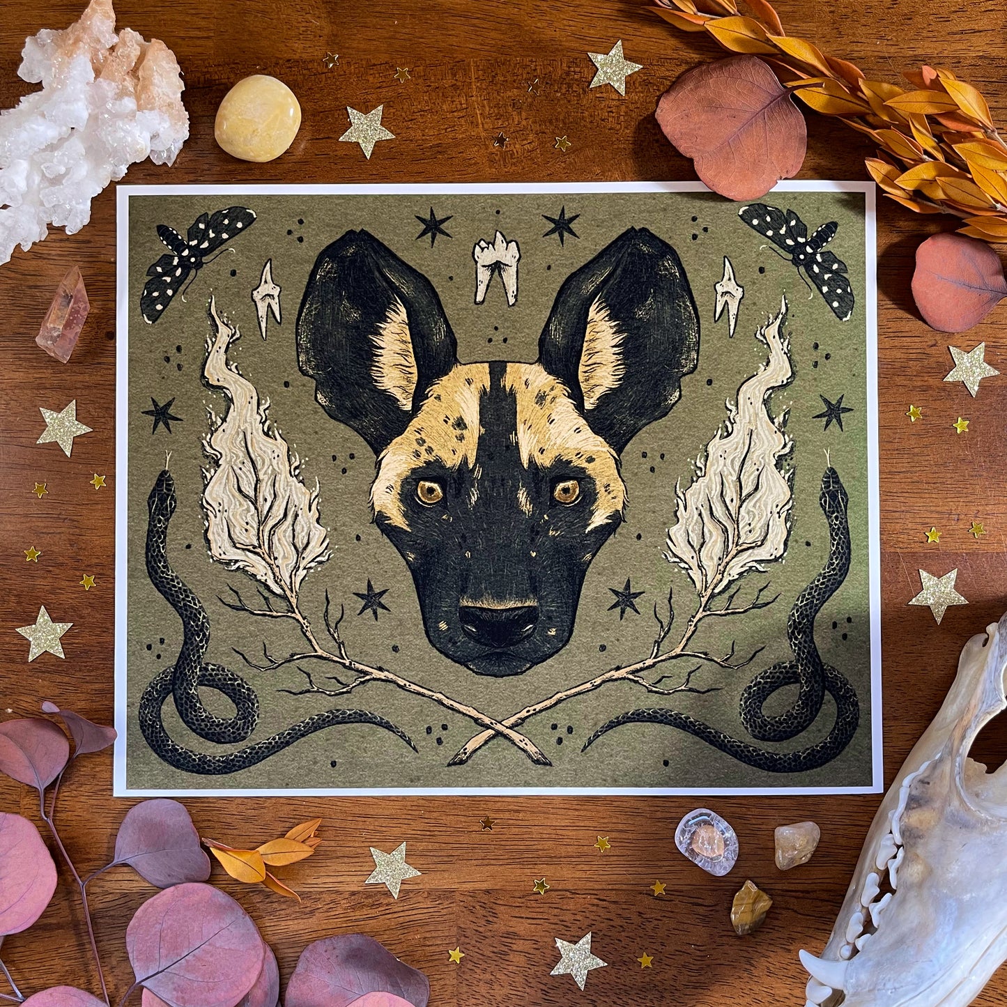 African Wild Dog Art Print