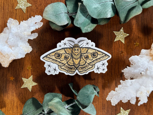 Moth Die Cut Sticker