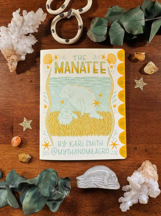 Manatee Conservation Zine